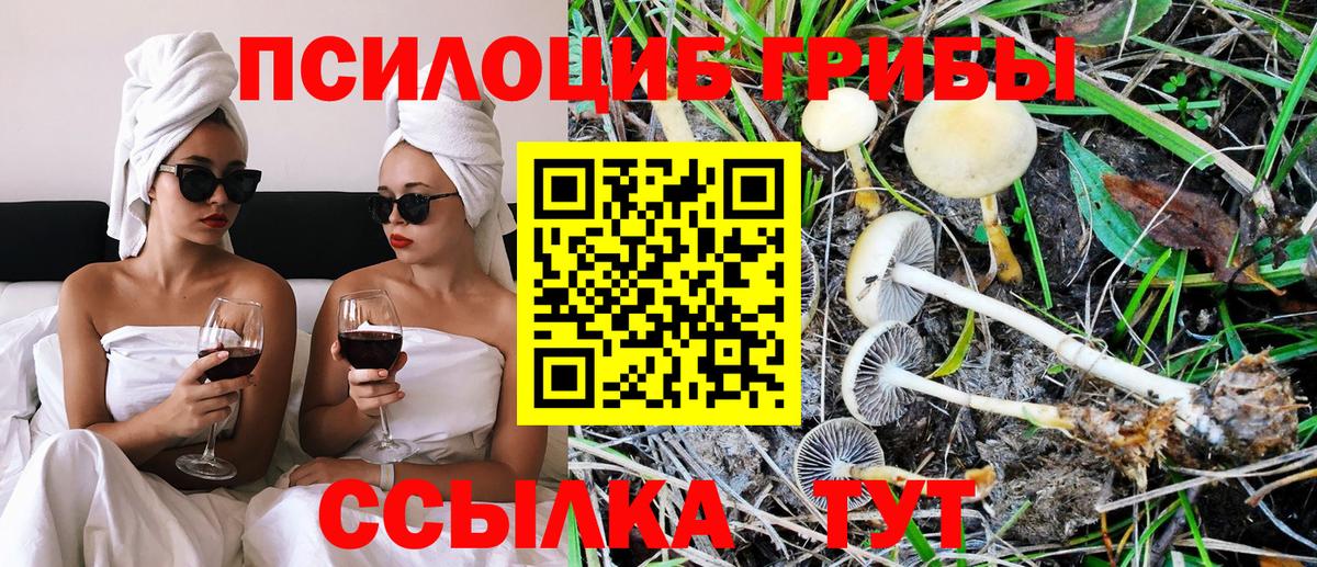 Лесозаводск  Псилоцибиновые грибы GOLDEN TEACHER  Псилоцибиновые грибы MAGIC MUSHROOMS  Вход с VPN 