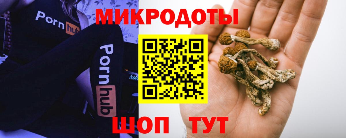 Галлюциногенные грибы Psilocybine cubensis Лесозаводск